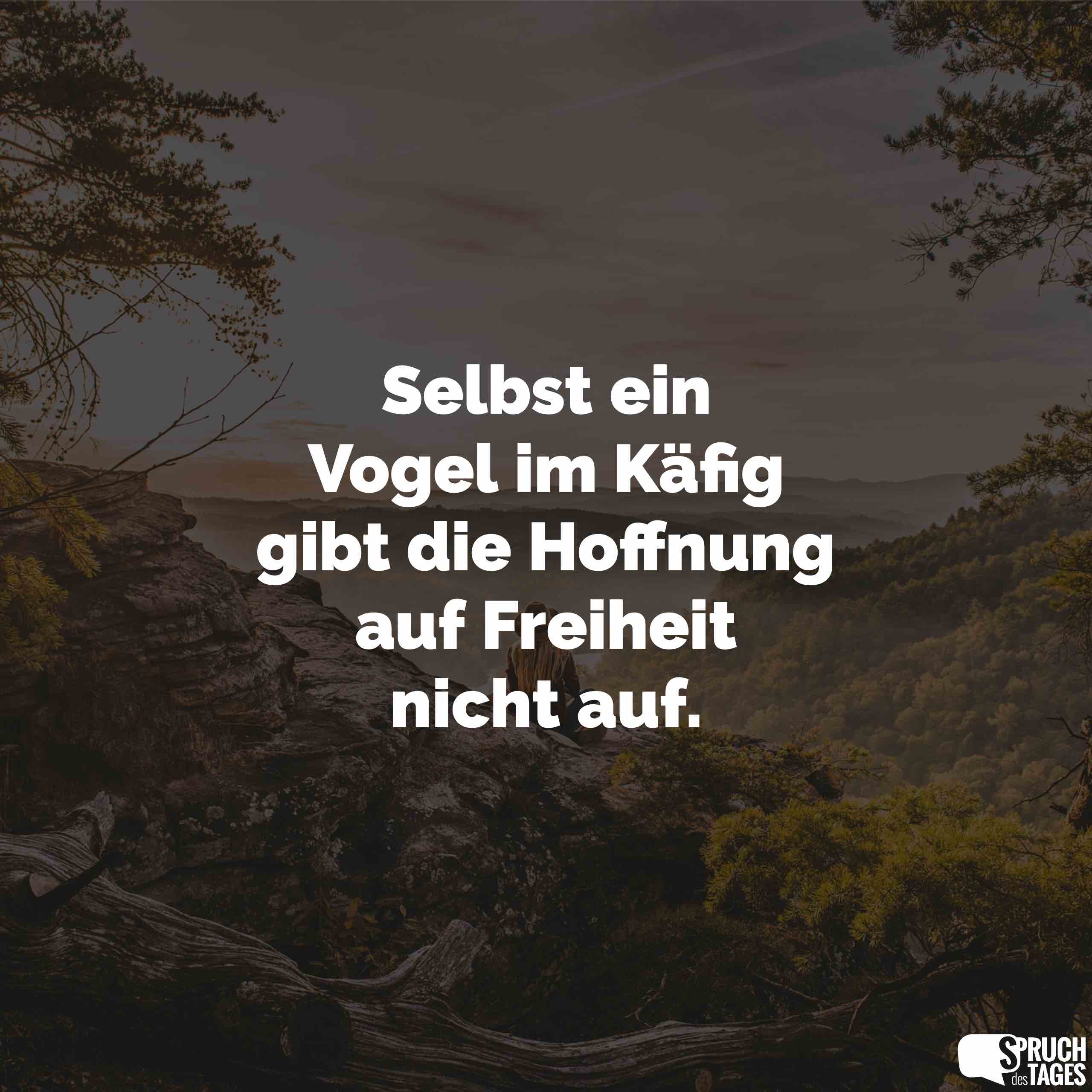 selbst-ein-vogel-im-kaefig-gibt-die-hoffnung-auf-....jpg