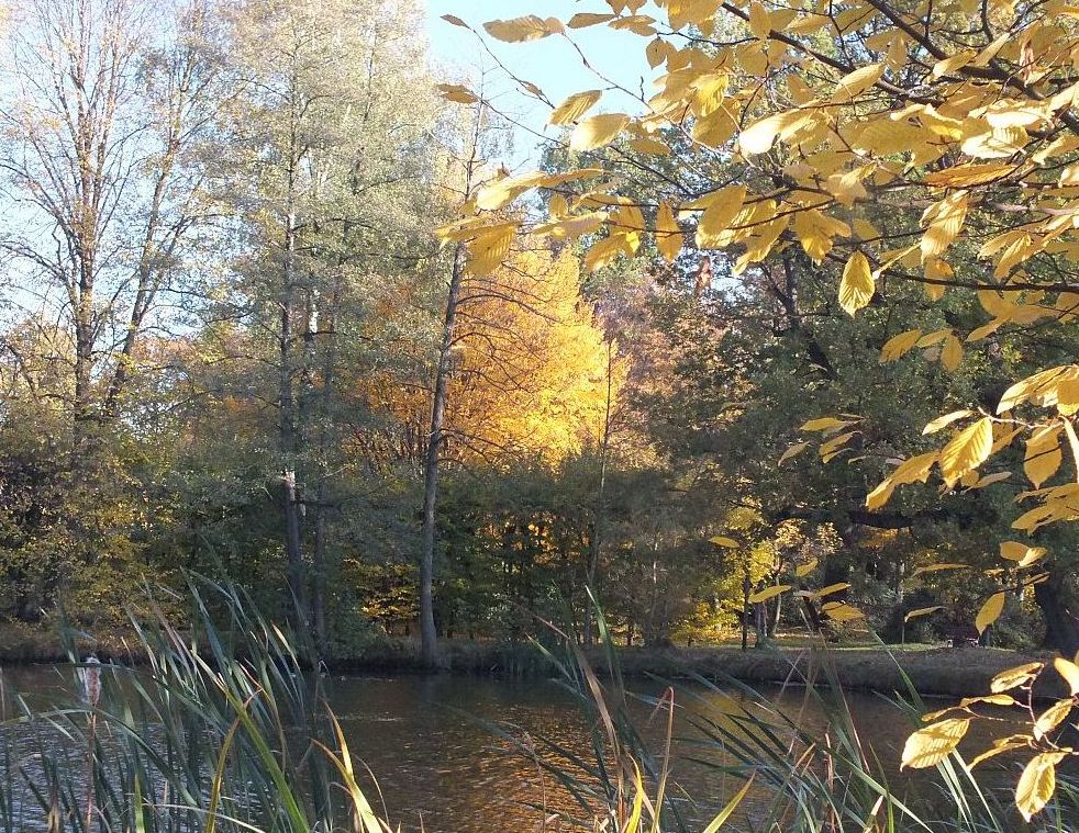 herbst.jpg