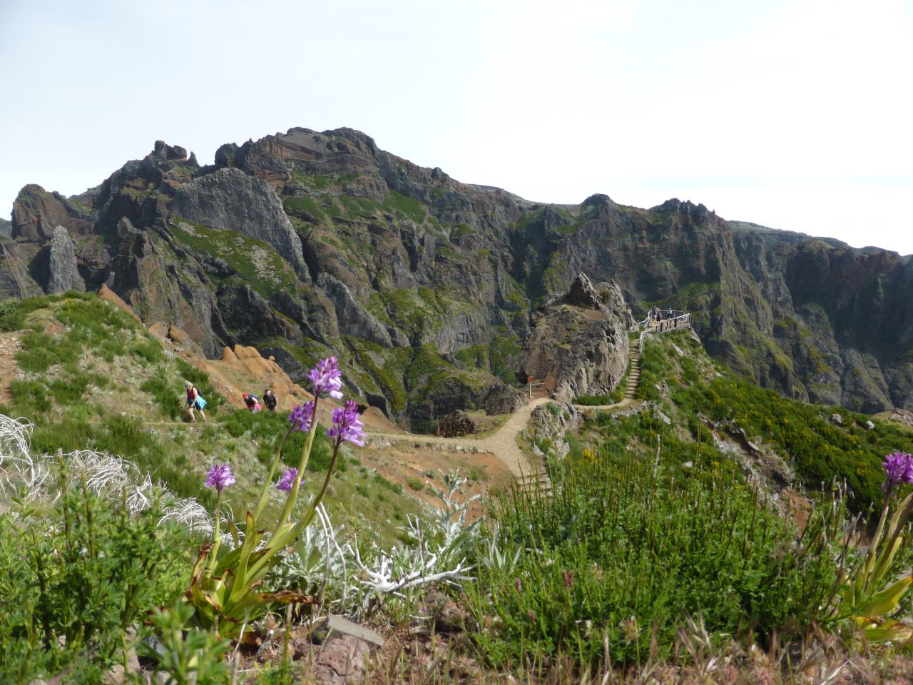 p1000841.jpg