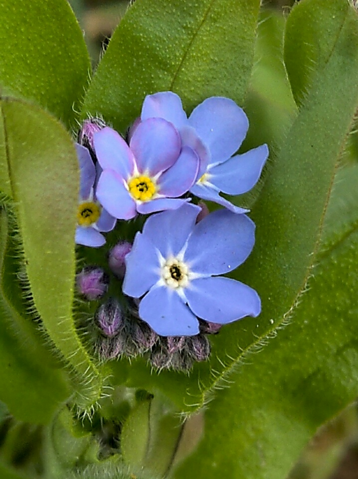 2020041917071100.jpg