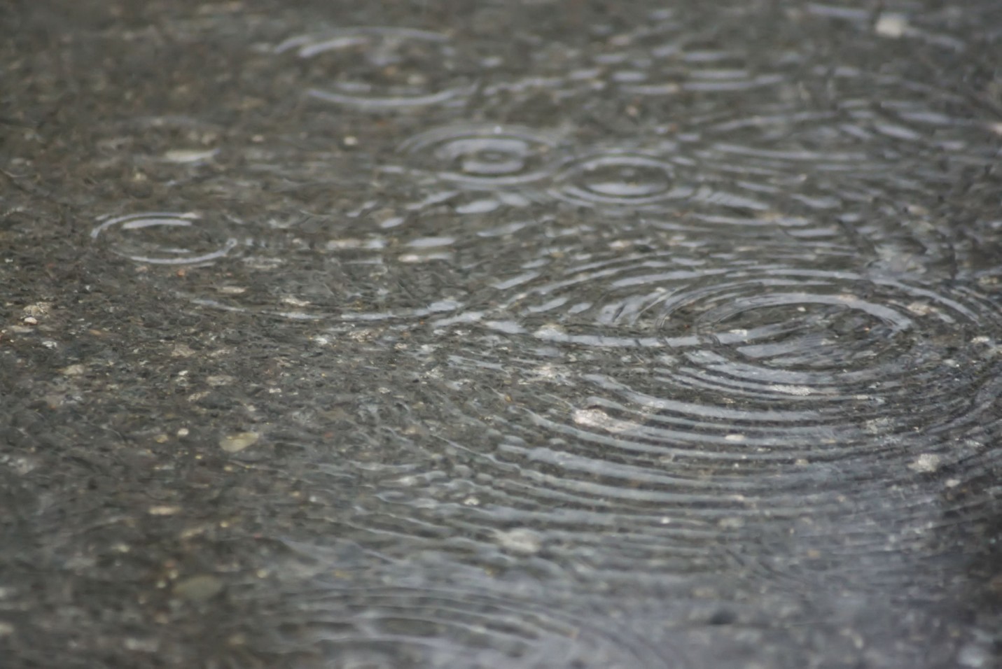 mai-_regen.jpg