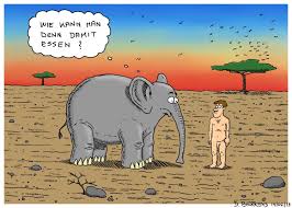 elefant.jpg
