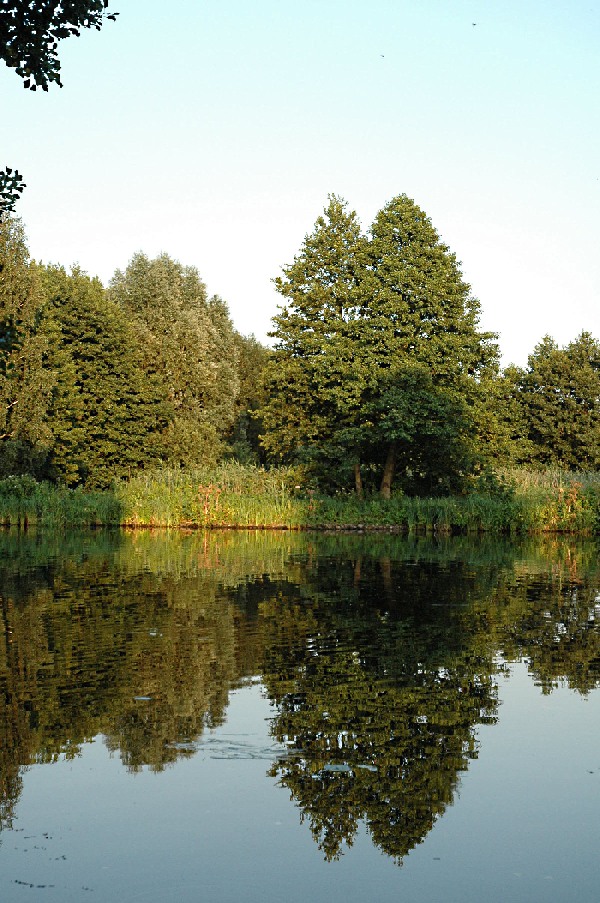 dsc_0153nn.jpg