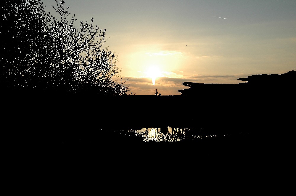 dsc_0017pp.jpg