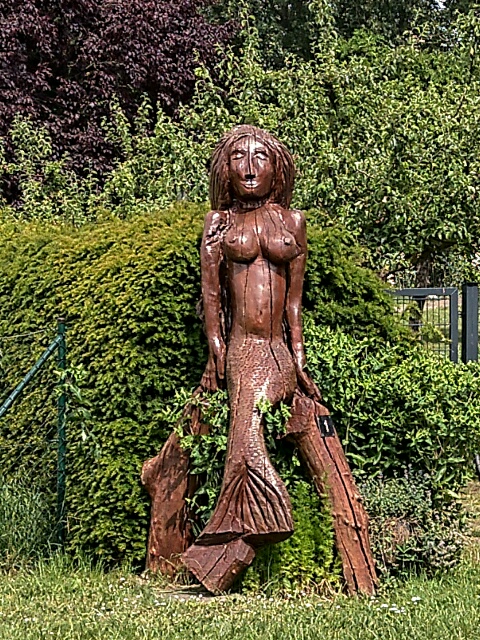 2020061305545700.jpg