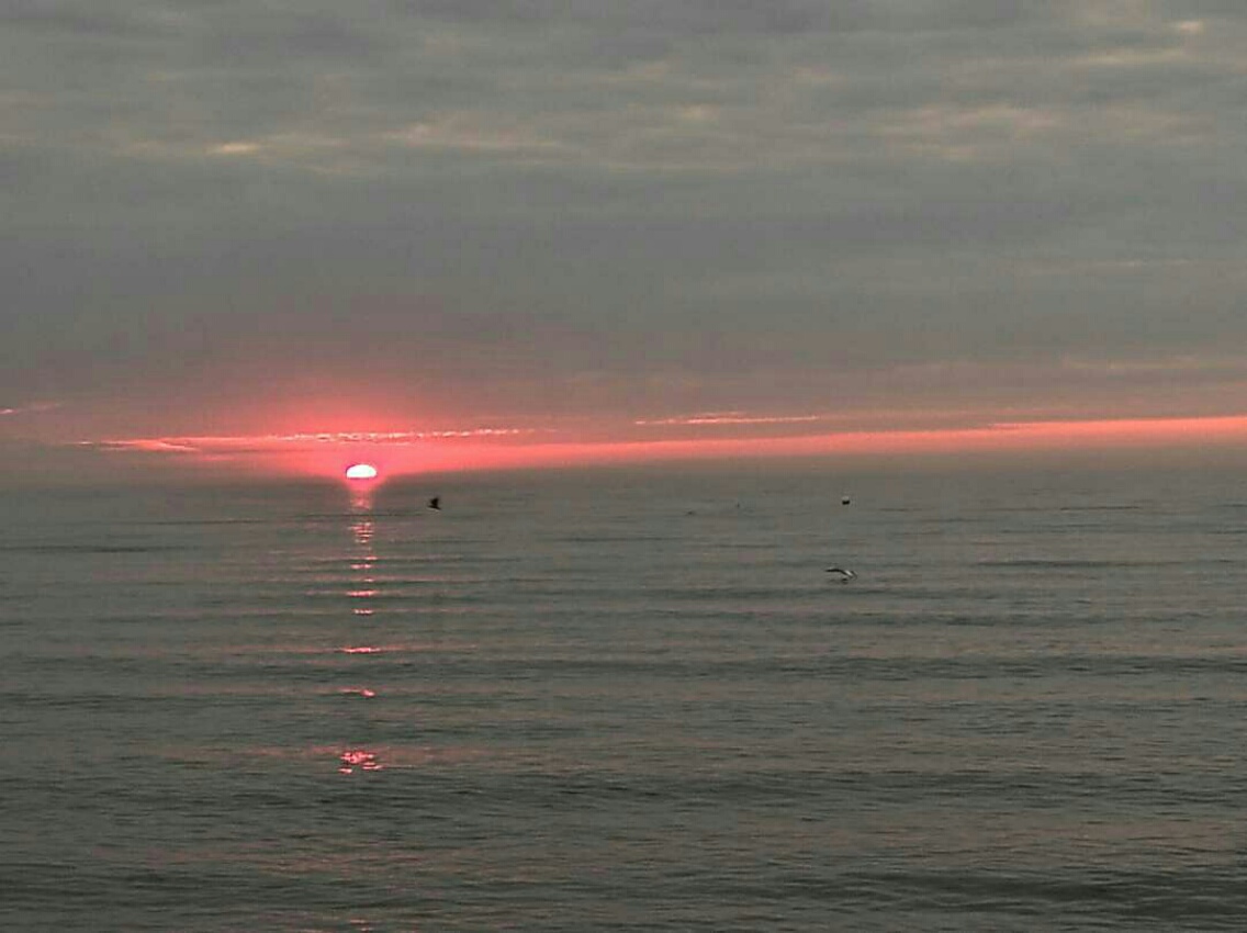 2020071909394500.jpg