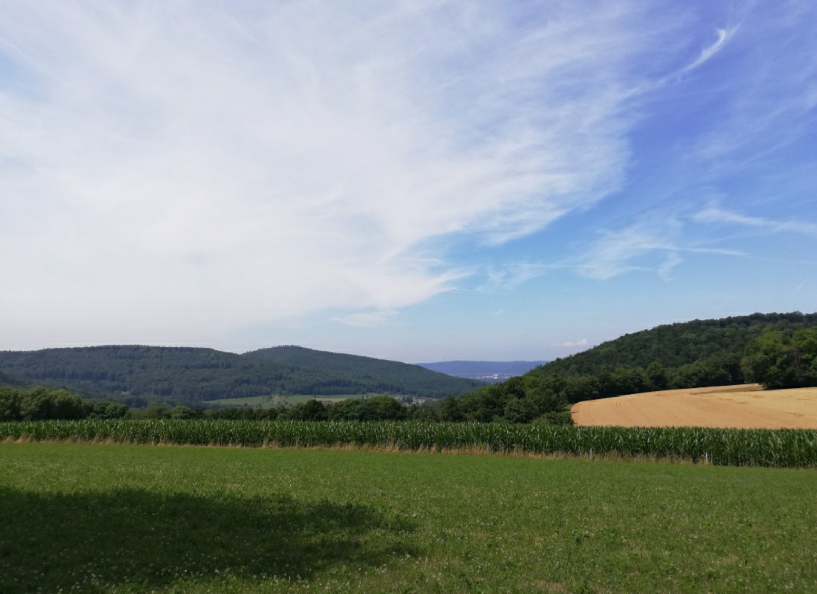 20200722_103432.jpg