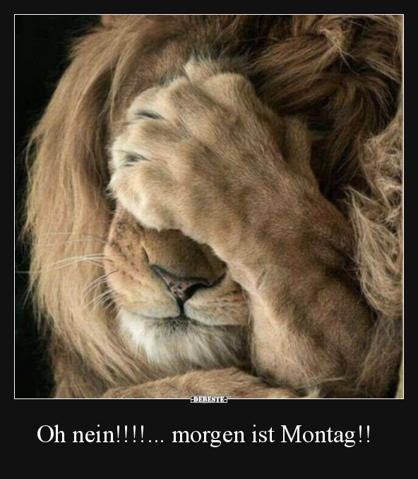 oh_nein__morgen_montag.jpg