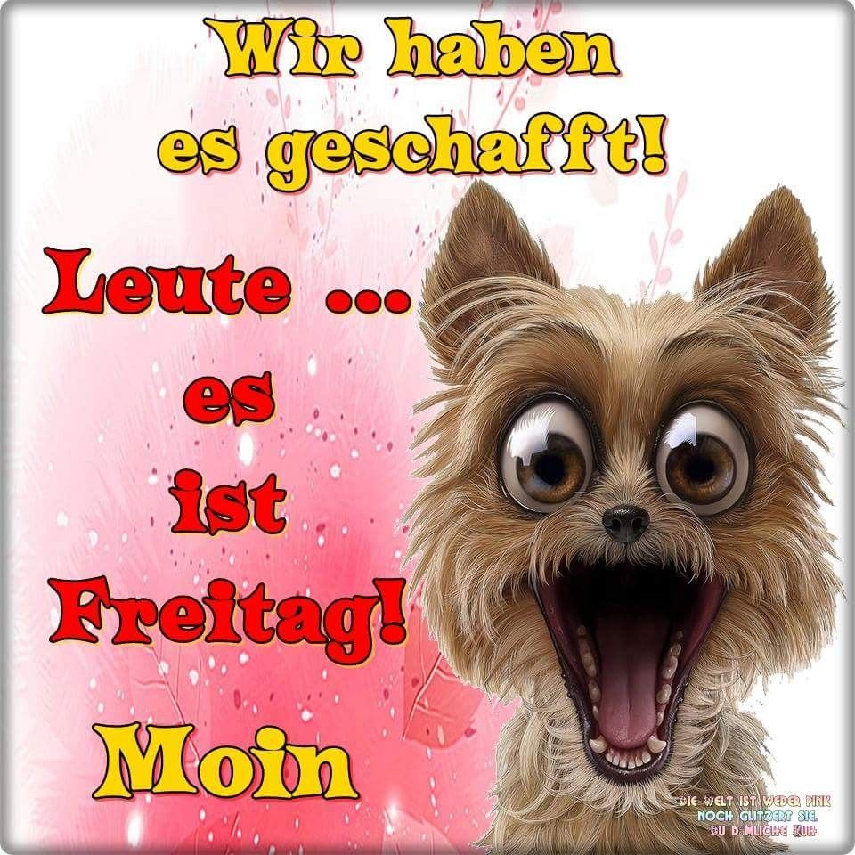 freitag.jpg