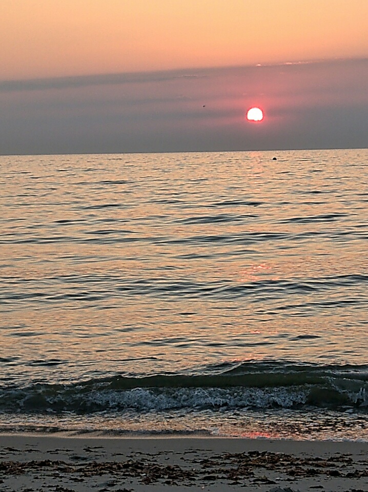 2020080809225200.jpg
