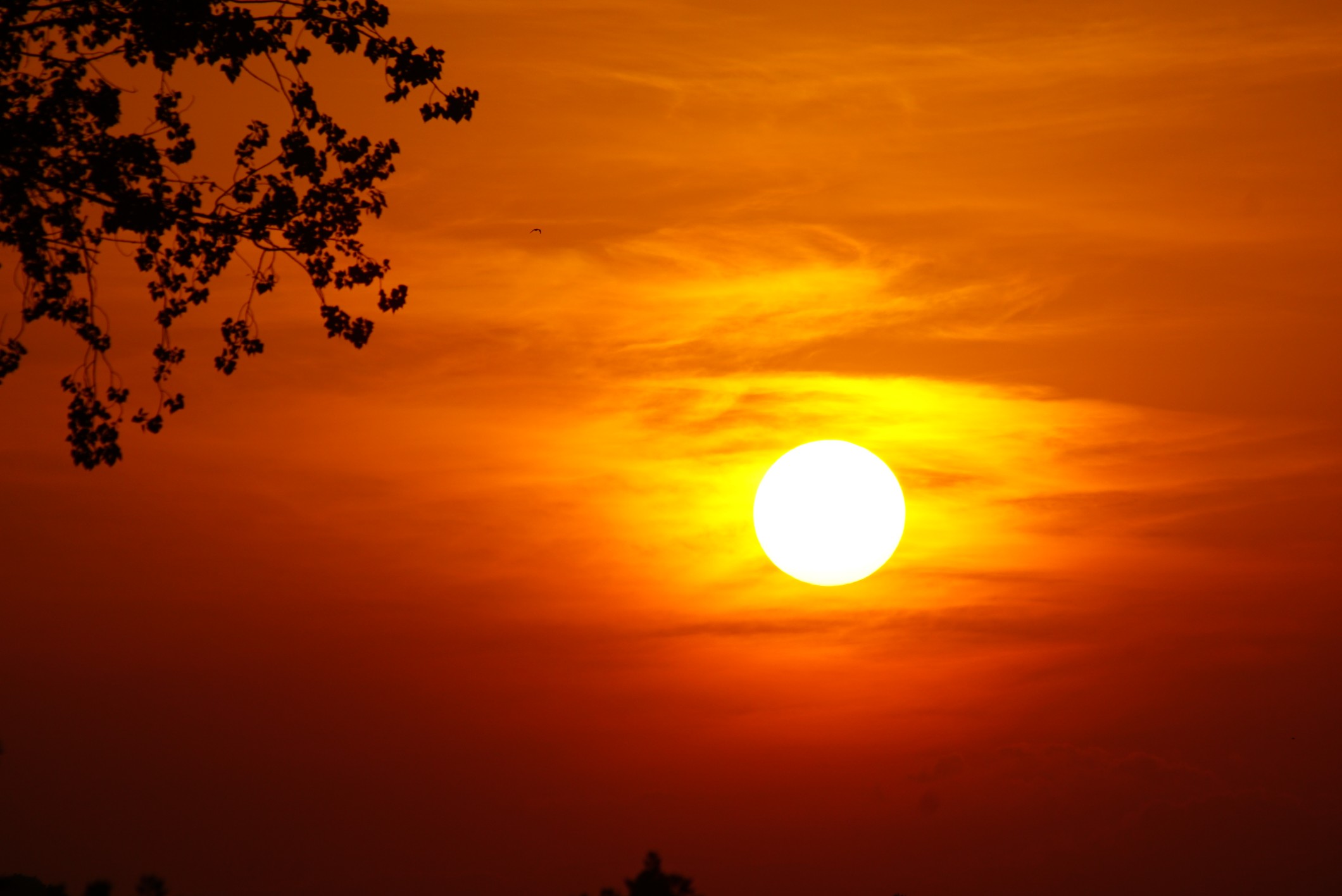 sonnenuntergang9.jpg
