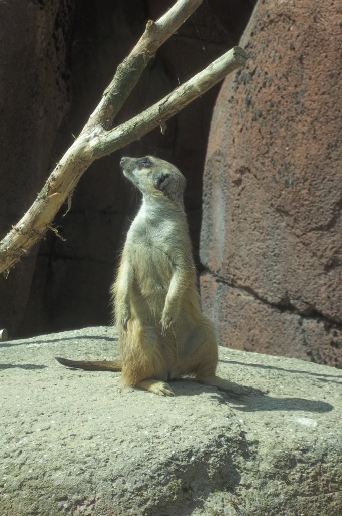 100_4041.jpg