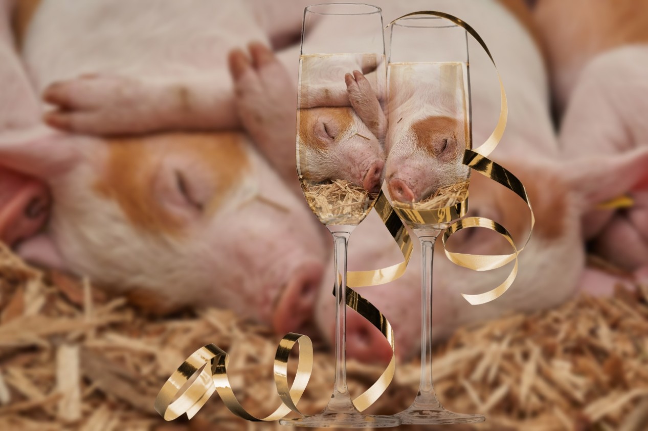 gl__ck_vom_schwein.jpg