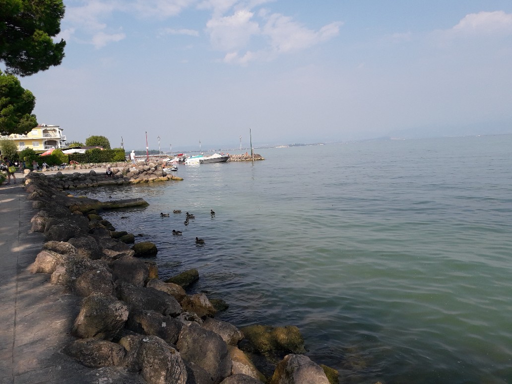 20200906_104547.jpg