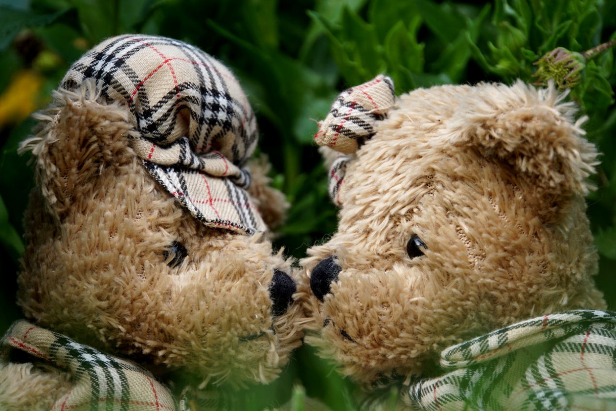 teddy-love.jpg
