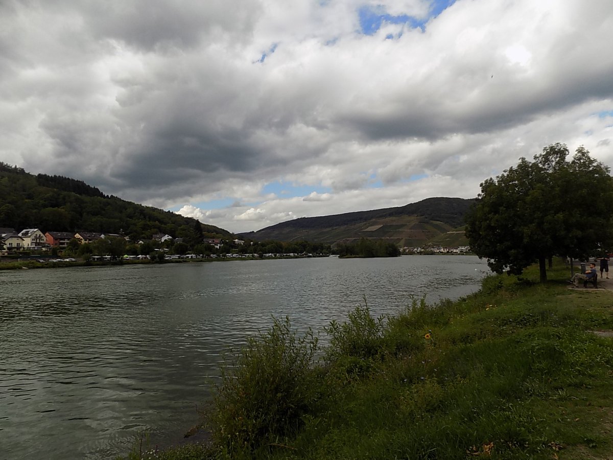 mosel_bew__lkt.jpg