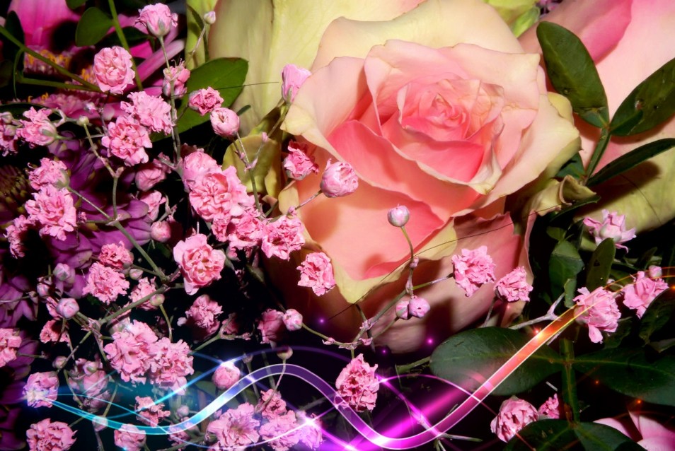 geburtstagsblumen_1.jpg