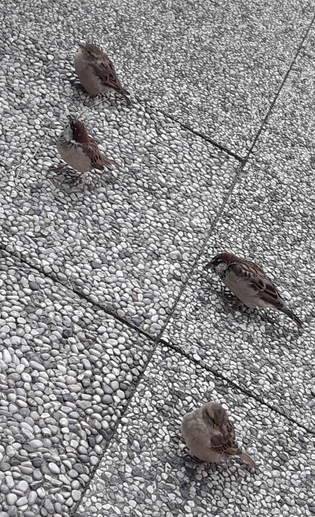 20200907_165542.jpg