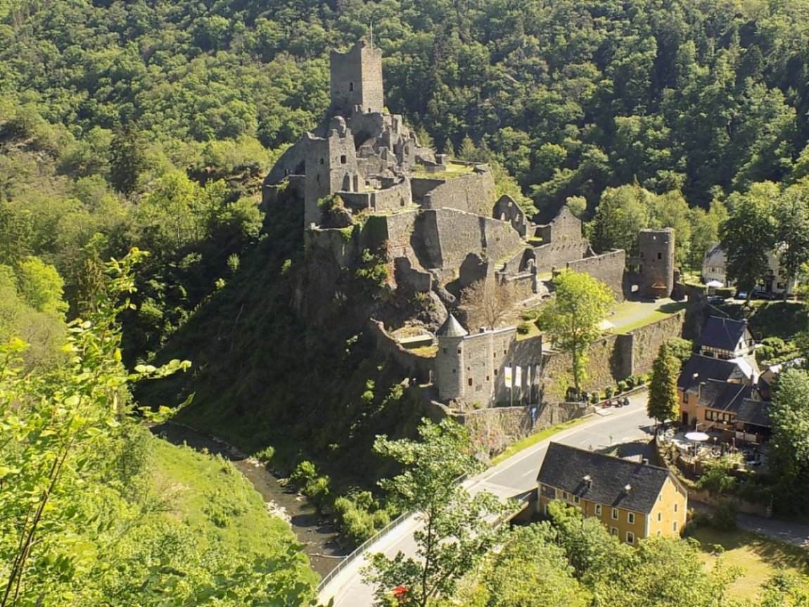 niederburg_bei_manderscheid_(2).jpg