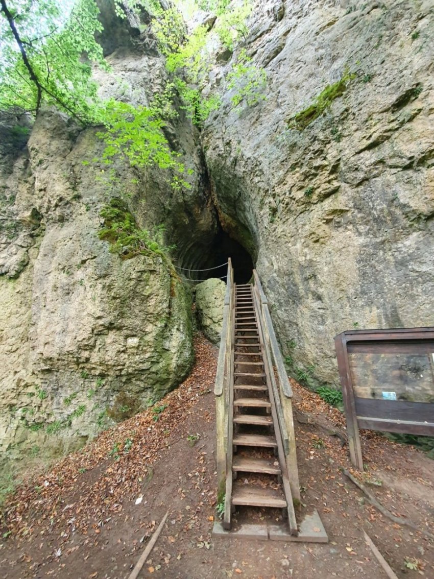 treppe_zur_h__hle.jpg