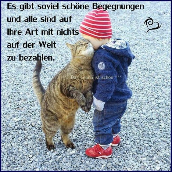sch__ne_begegnungen.jpg