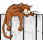 katze-0064.gif