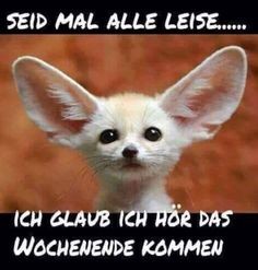 ich_h__r_das_we.jpg
