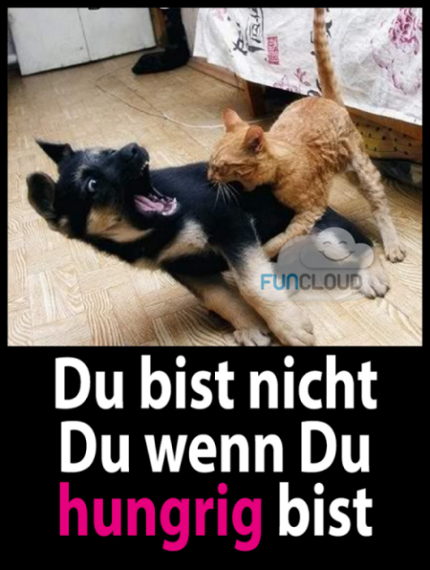 du_bist_nicht_du.png