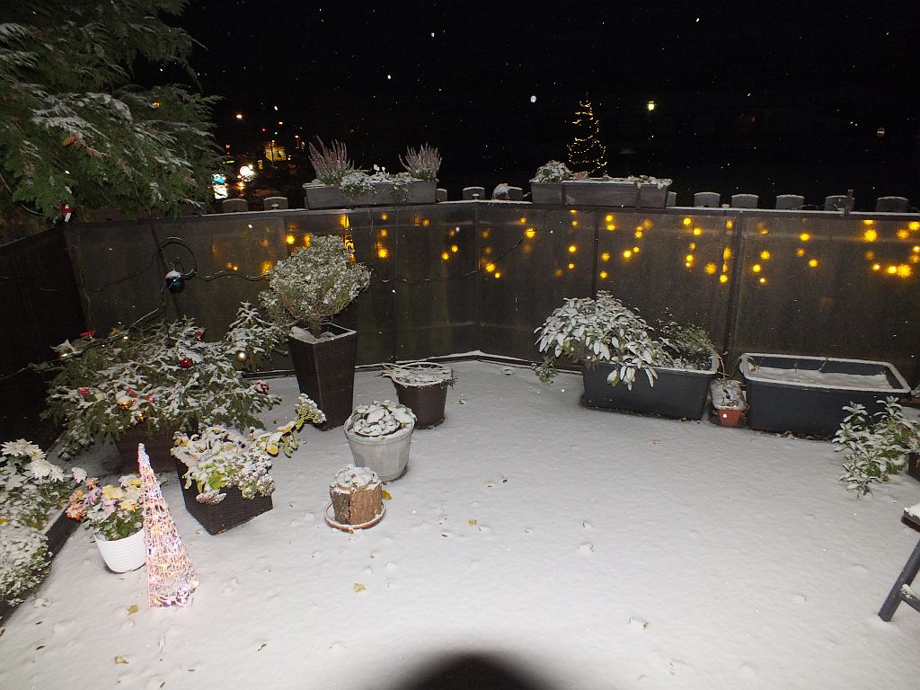 schnee_2020.jpg