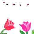 blume-0312.gif