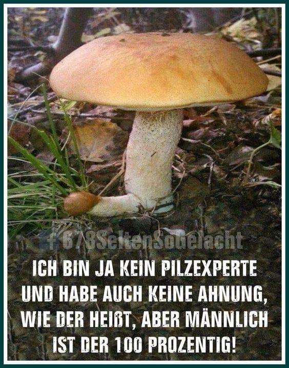 d821e3f74ee68bb743baba6540cb49a5.jpg
