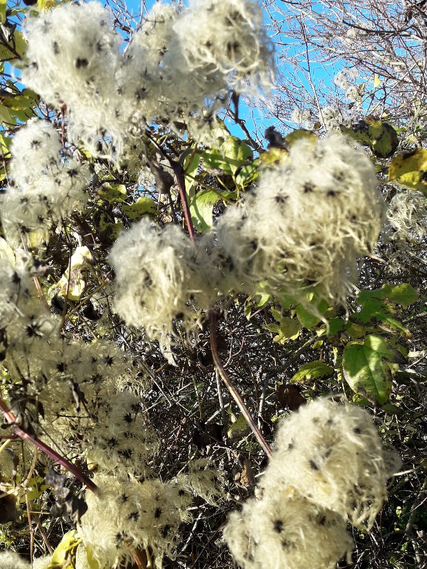20201114_103009.jpg