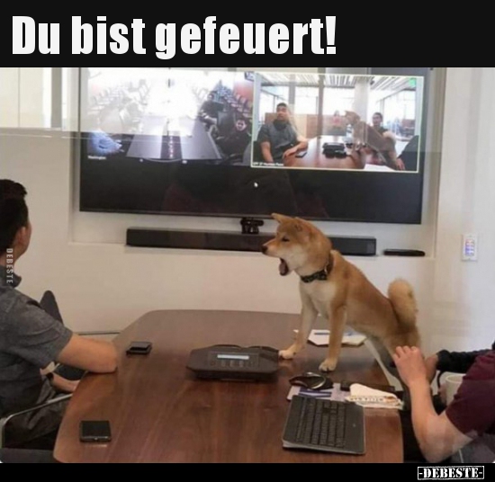 proxy-image.jpg