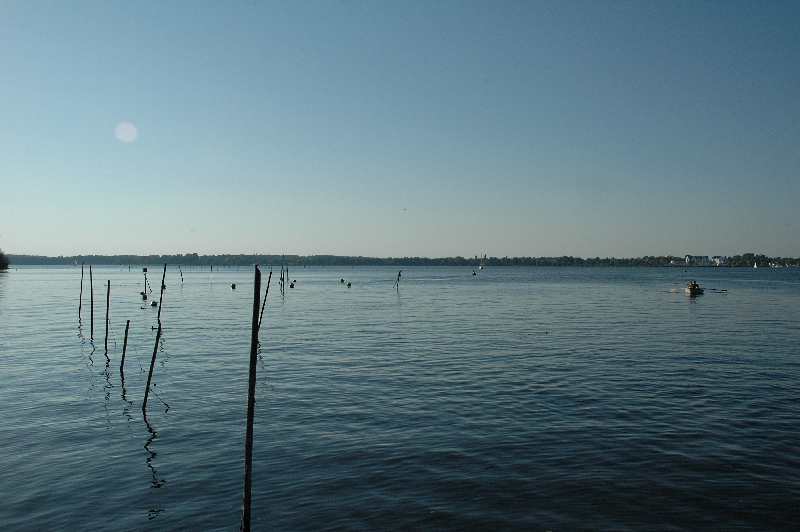 dsc_0036schw.jpg