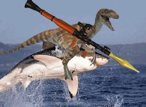 haifisch.jpg