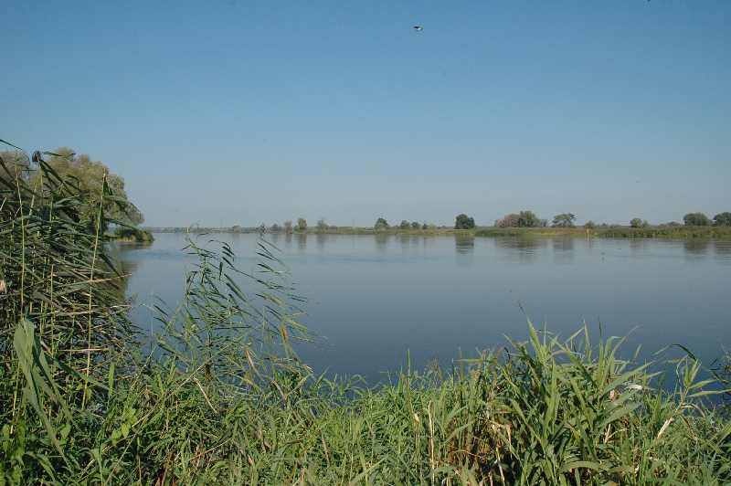 dsc_0004oder.jpg