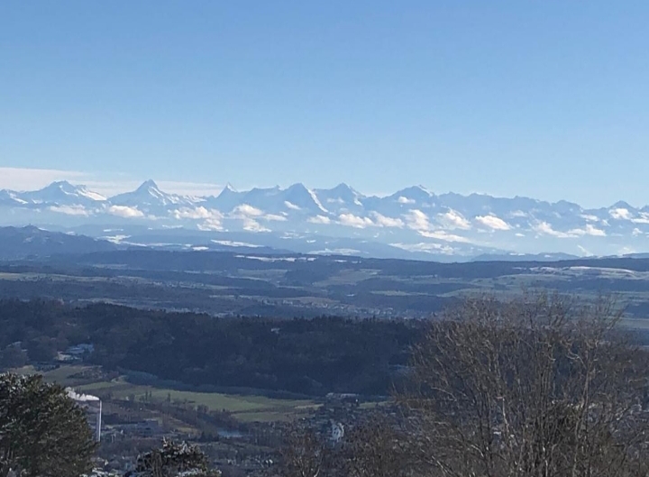 20210214_200613.jpg