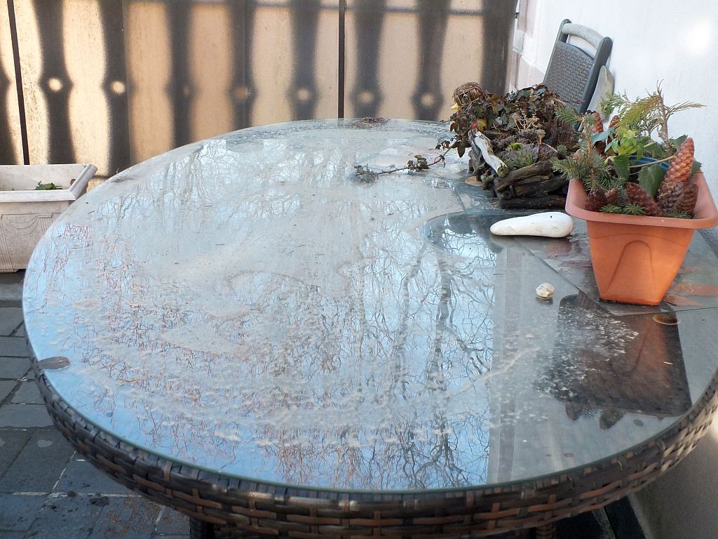 sahara_auf_dem_balkon.jpg