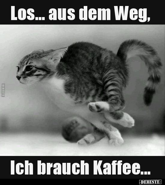 aus_dem_weg.jpg
