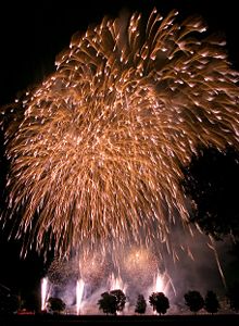 220px-duesseldorf_firework_2007.jpg