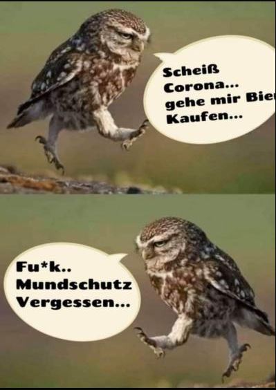 unbenannt.jpg