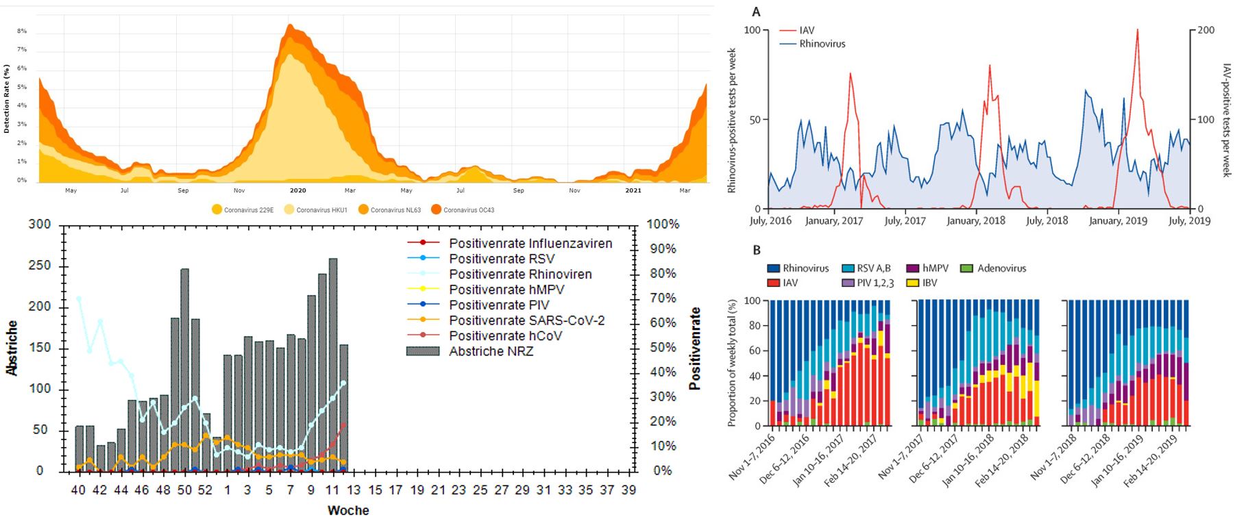 viral-interference-flu-rhino-hcov-sars-cov2.jpg