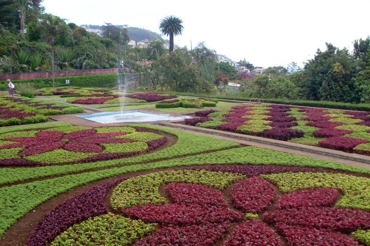 madeira105.jpg