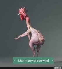 imagesur3vtze3.jpg