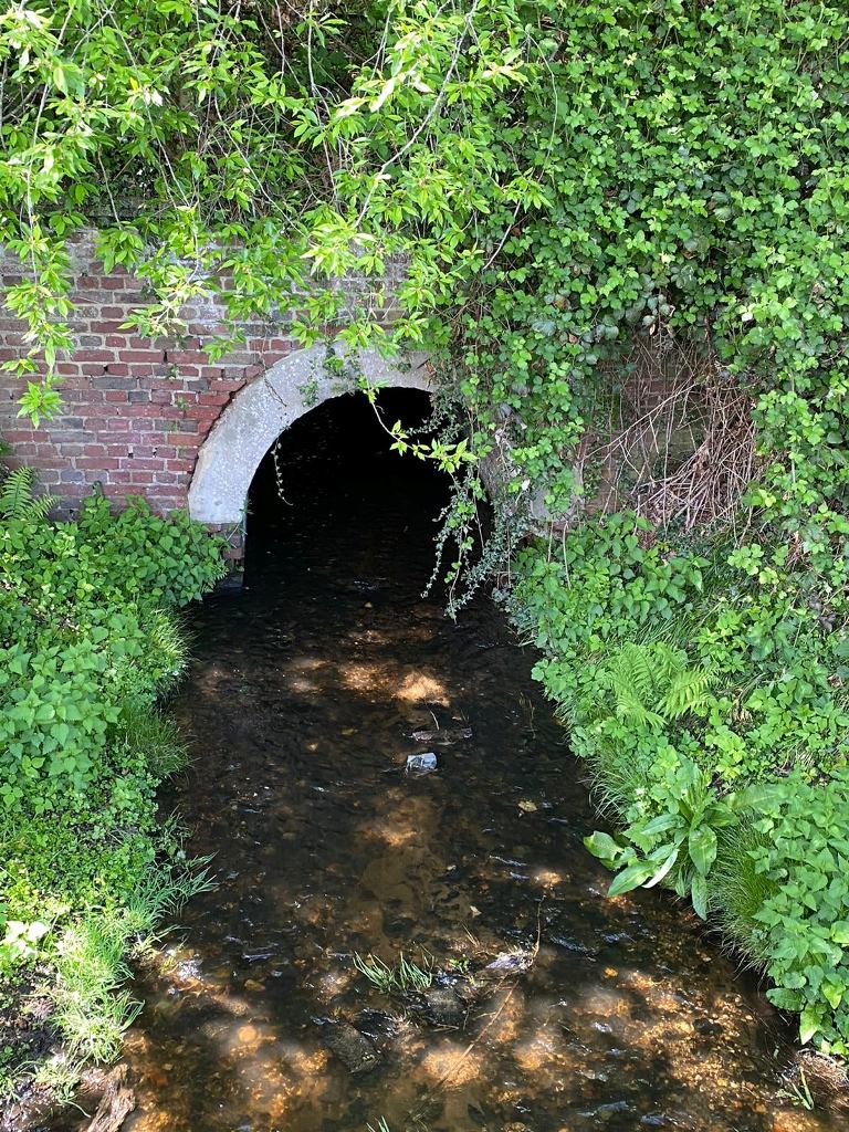 tunnel_wasser.jpg