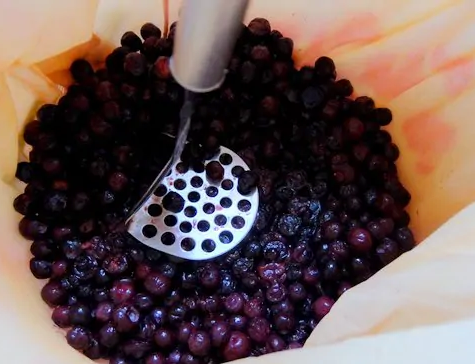 blueberry_shorts_forever.png