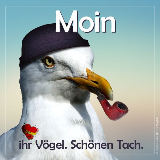 moin4.jpg