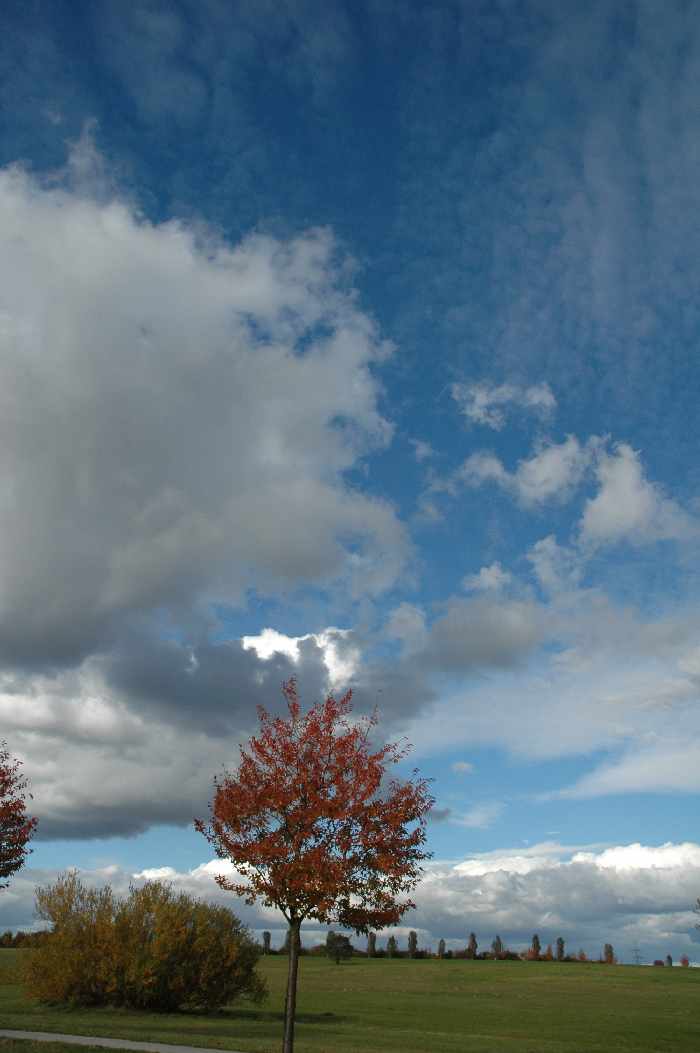 herbst1.jpg