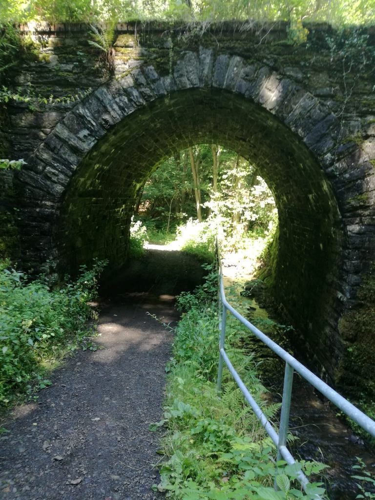 tunnel.jpg