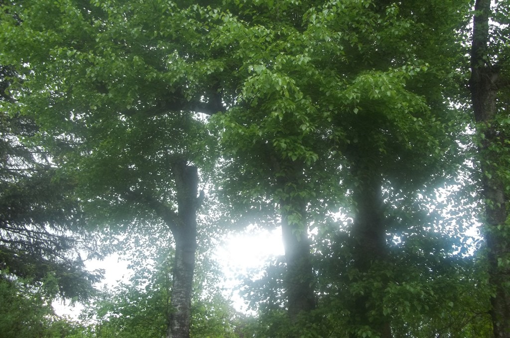 100_1894.jpg